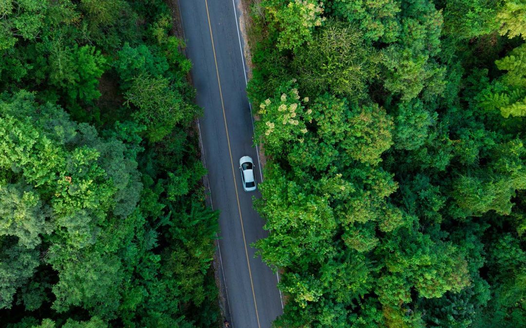 Eco-Driving: How Smarter Driving Can Save Costs and Support Sustainability